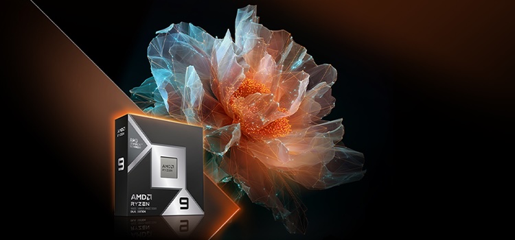 Meet the AMD Ryzen 9 9950X3D2 Dual Edition Processor