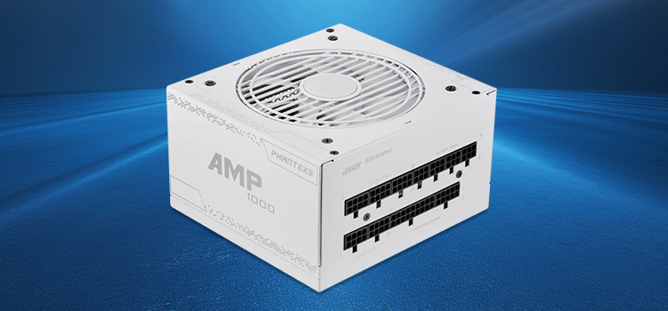 Understanding the PSU