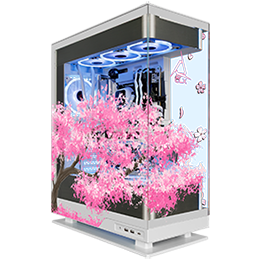 CLX RA Intel PRO Streaming PC